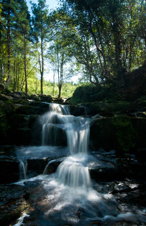 A waterfall in Glenbarrow Exo Park.