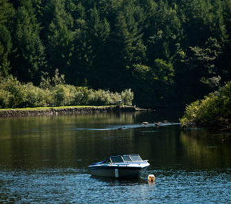 A boat moored at St. Mullins